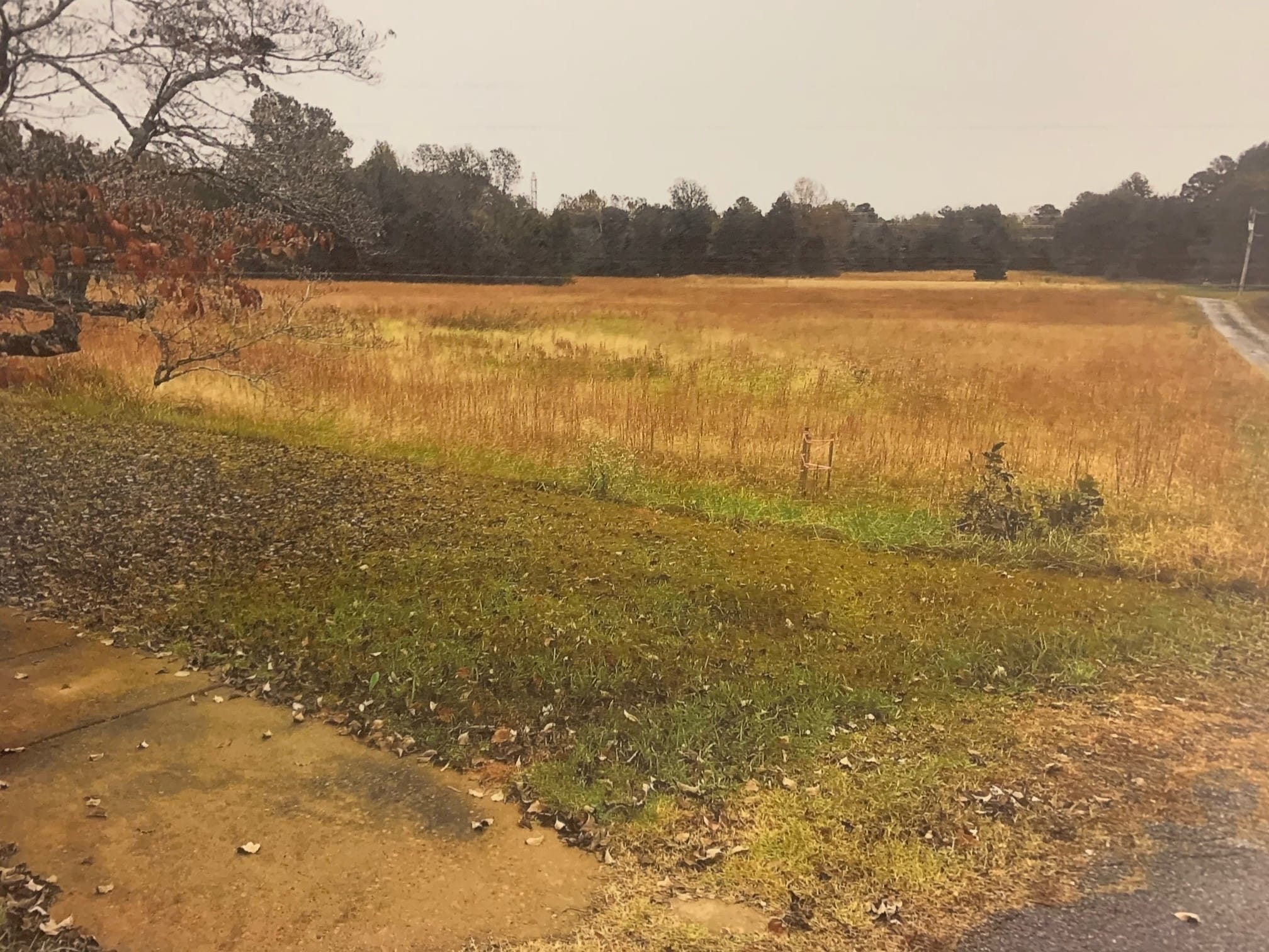 Church of God Unchanged Ministries